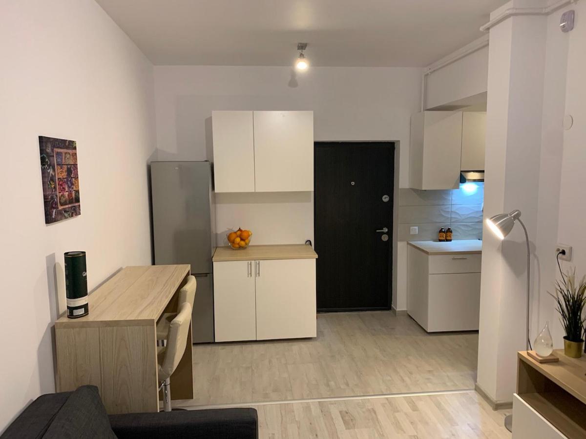 Ray Luxury Apartment Close To Presidential Palace Bucureşti Eksteriør bilde
